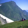 Nature-13