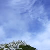 Nature-20