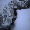 Nature-05