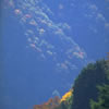 Nature-07