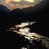 Nature-09