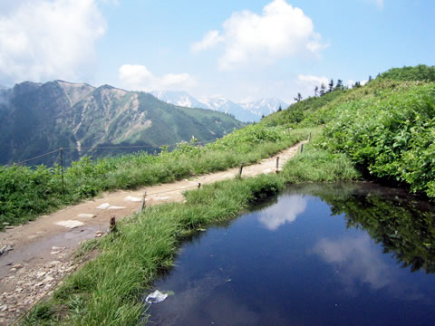 種池